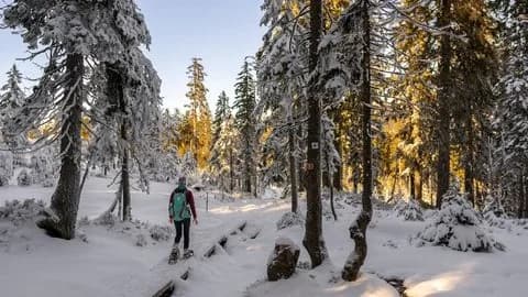 ENTSPANNT UND AKTIV IN DER WINTERLICHEN FERIENREGION