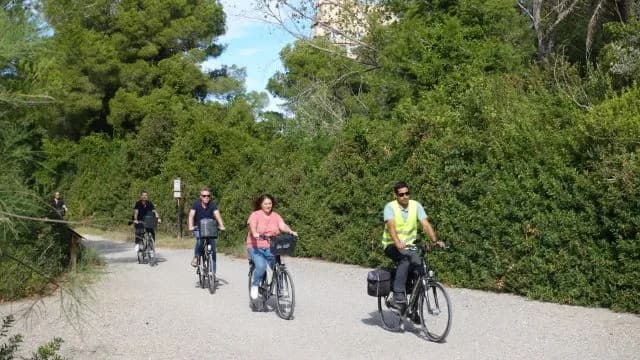Ein bisschen Grün muss sein: Valencia als Umwelthauptstadt