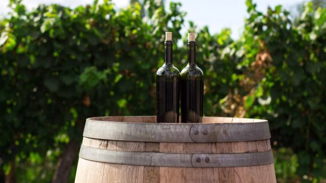Von Rebe zu Glas: Wein mal anders betrachtet