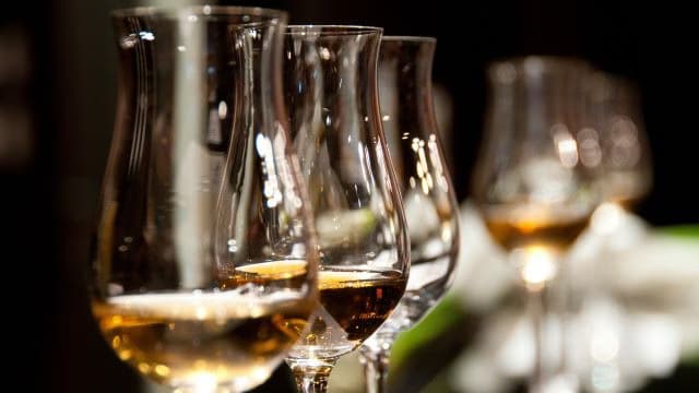 Naturweine – Was steckt hinter der Bewegung?