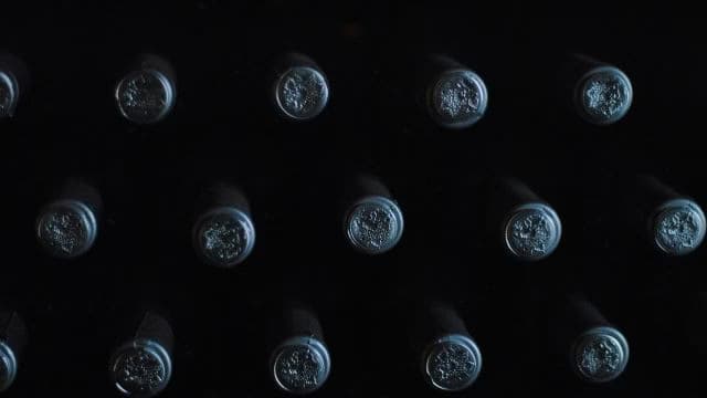 Weinlagerung leicht gemacht: So bleibt der Geschmack erhalten