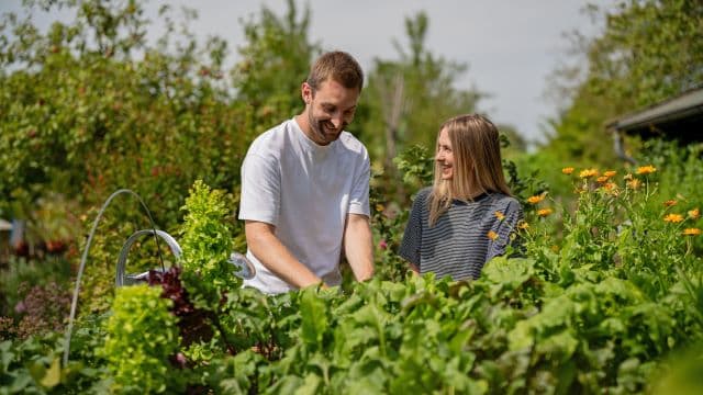 Gartenspaß auf Augenhöhe
