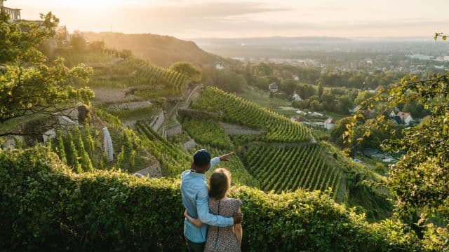 Genuss für alle Sinne: Wein-Wandern im sächsischen Elbtal