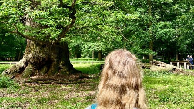 Gemeinsam in den Wald
