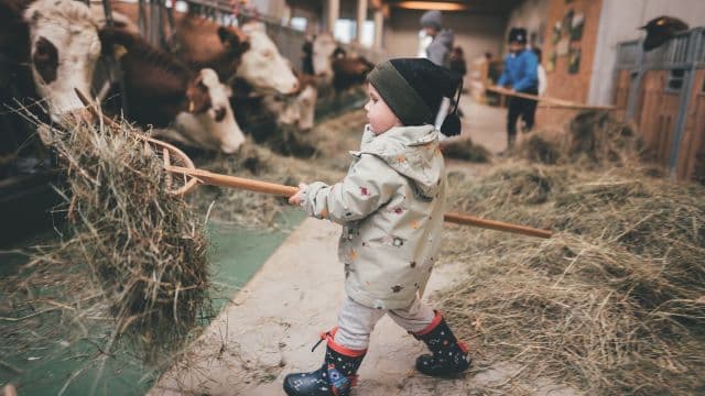 Winterzauber & Weihnachtsglück: Besondere Auszeiten schenken