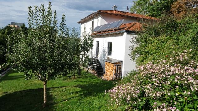 Mit der Sonne gegen Schimmel