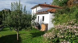 Mit der Sonne gegen Schimmel