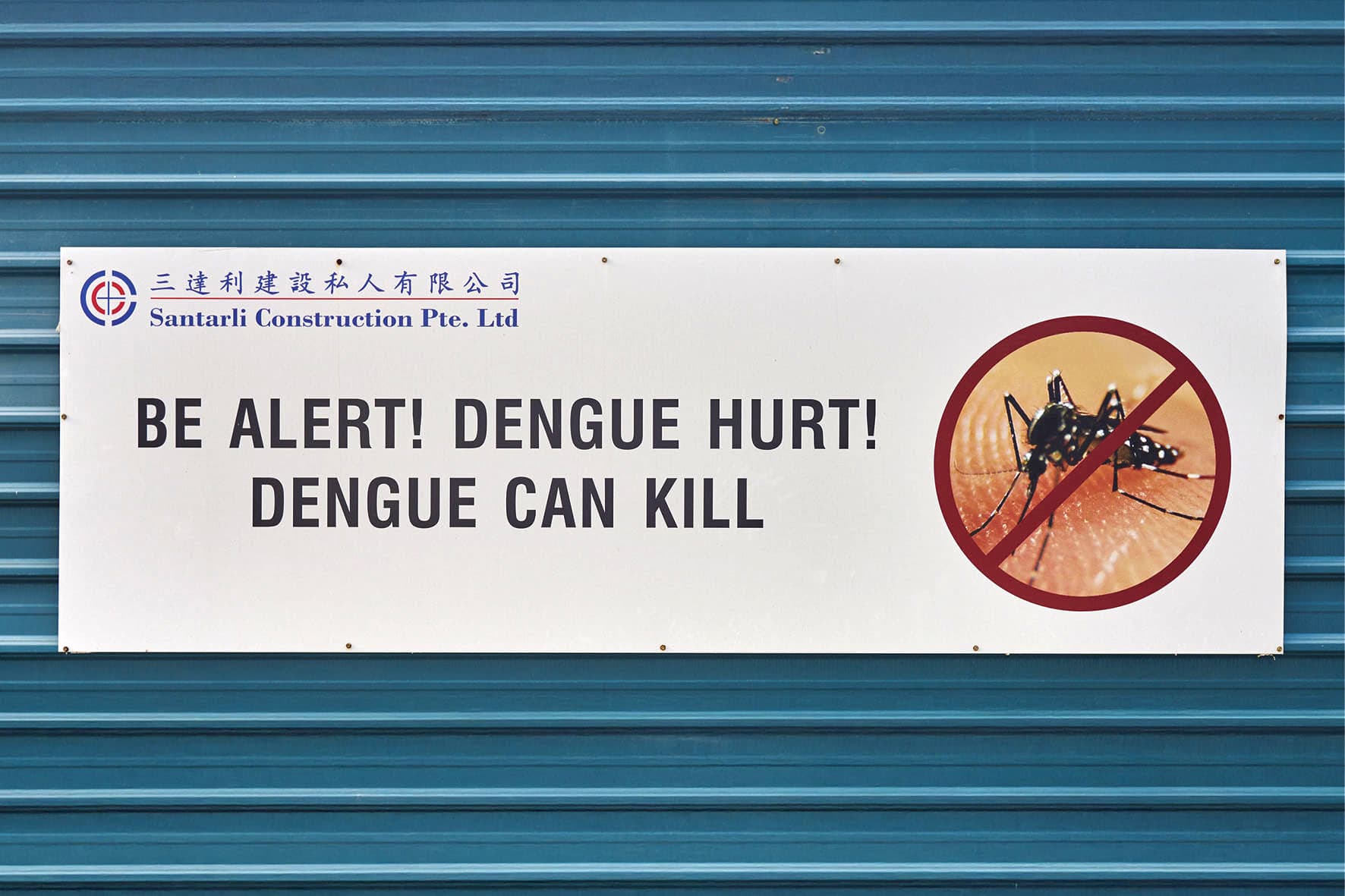 Ob Fernreise oder Mittelmeer: Dengue all inclusive?