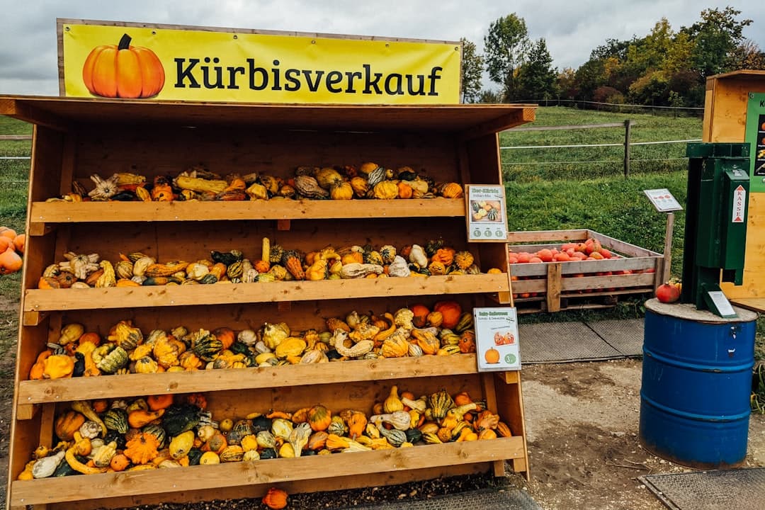 Zwischen Gurke und Spreewald-Kahn: Brandenburgs kulinarische Landschaften im Überblick