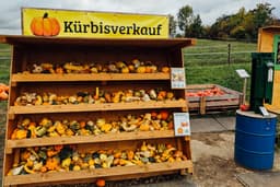 Zwischen Gurke und Spreewald-Kahn: Brandenburgs kulinarische Landschaften im Überblick