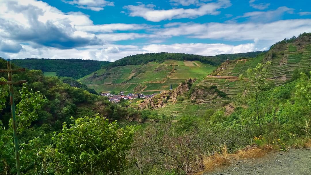 Rheinland-Pfalz: Landschaft, Geschichte und Weinkultur als Reiseziele
