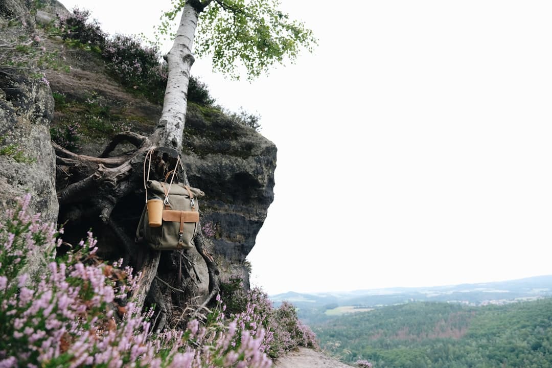 Wandern in Sachsen: Markante Routen zwischen Erzgebirge, Sächsischer Schweiz und Lausitz