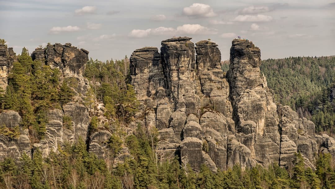 Schutzgebiete in Sachsen: Naturparks und ein Nationalpark prägen die Region