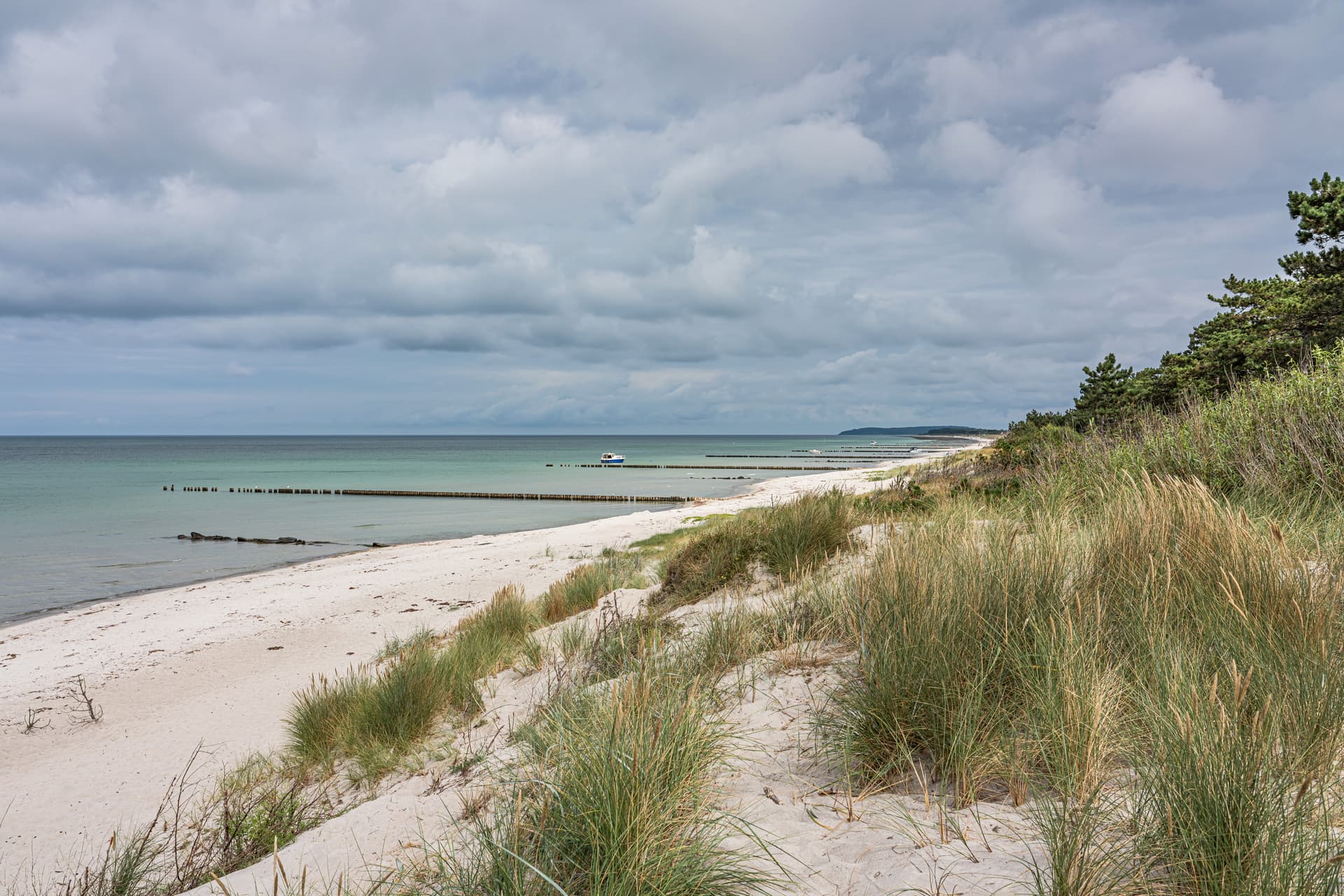 Keine Autos, kein Lärm: Die Insel Hiddensee lebt ohne motorisierten Verkehr